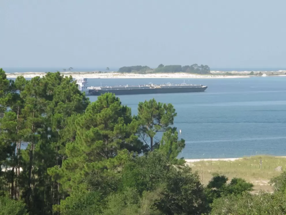 View of the white dunes.