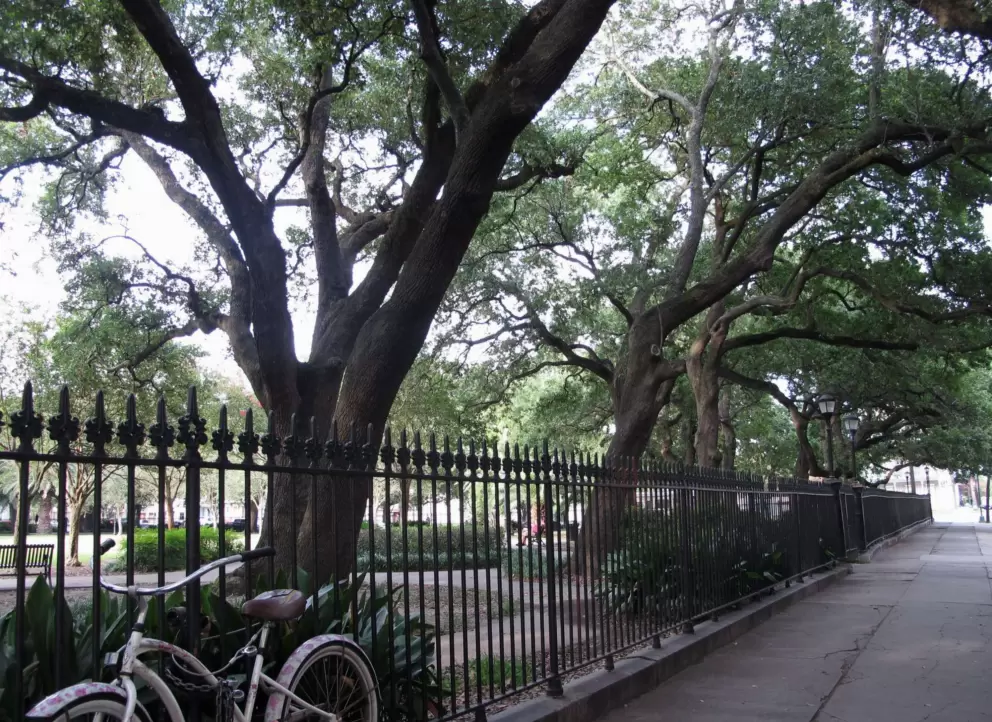 Washington Square.