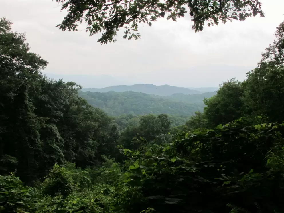 View from a stop along the road- quite tropical looking!