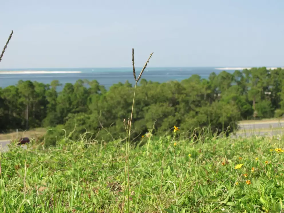 The natural surroundings are beautiful at the fort!