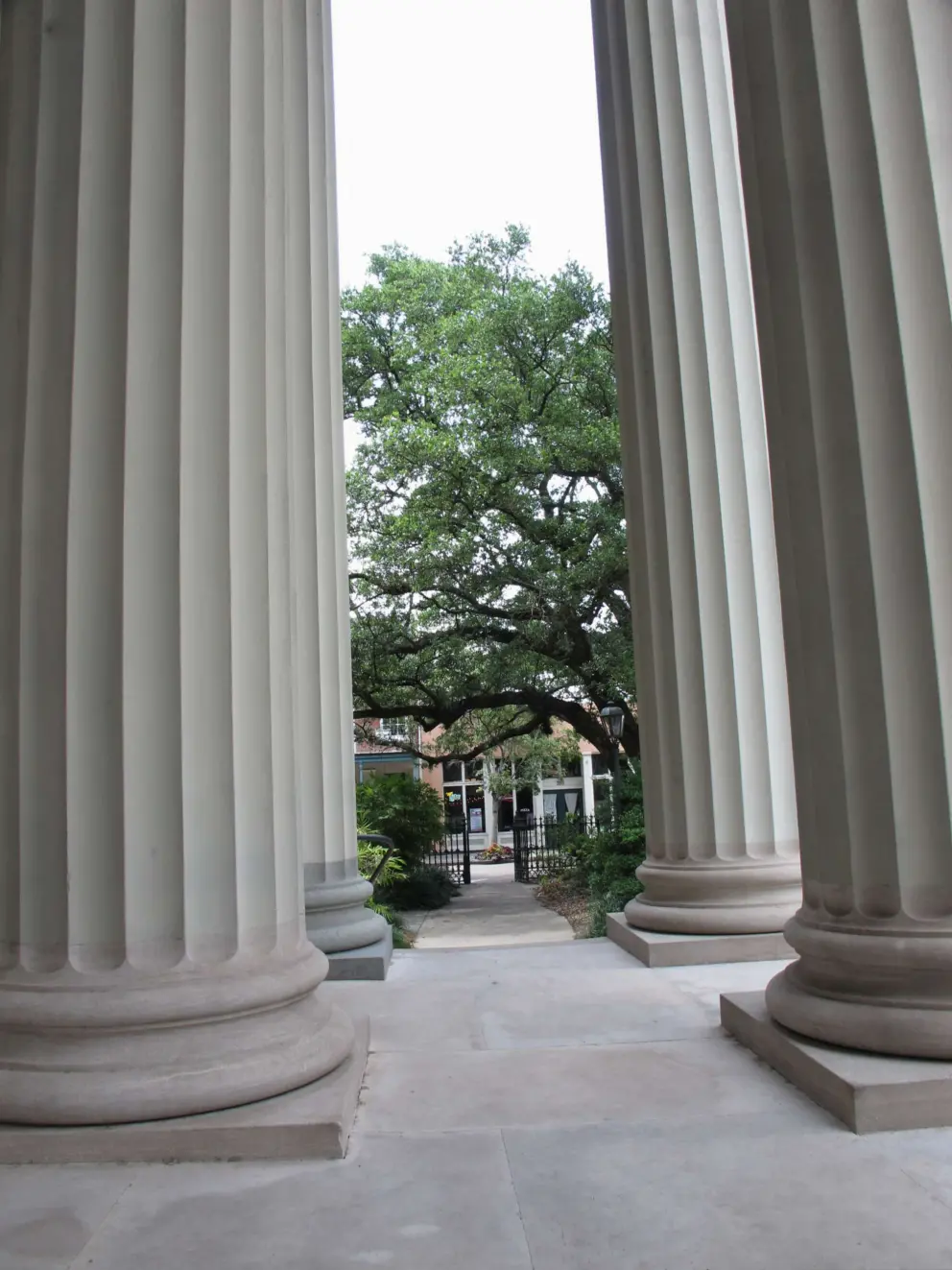 Grand columns of the basilica.
