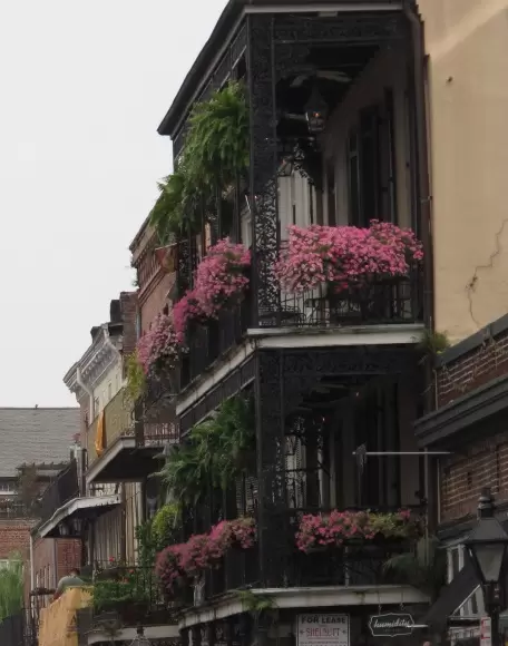 Balcony spilling over with flowers, in the French Quarter.