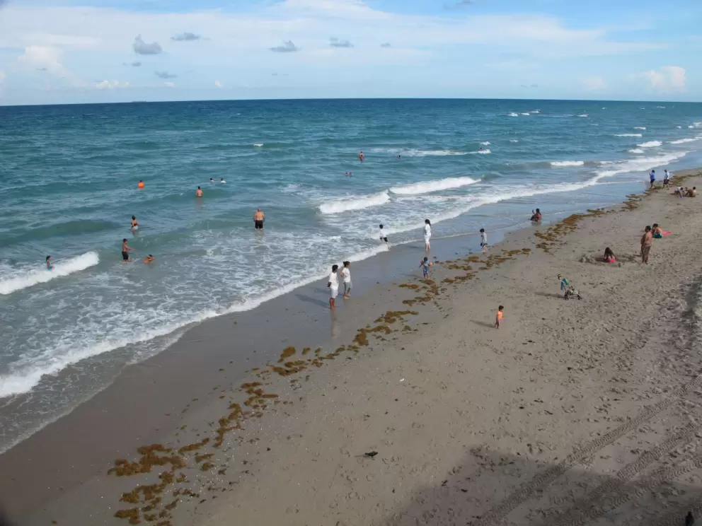 Looking south down the beach from the pier.