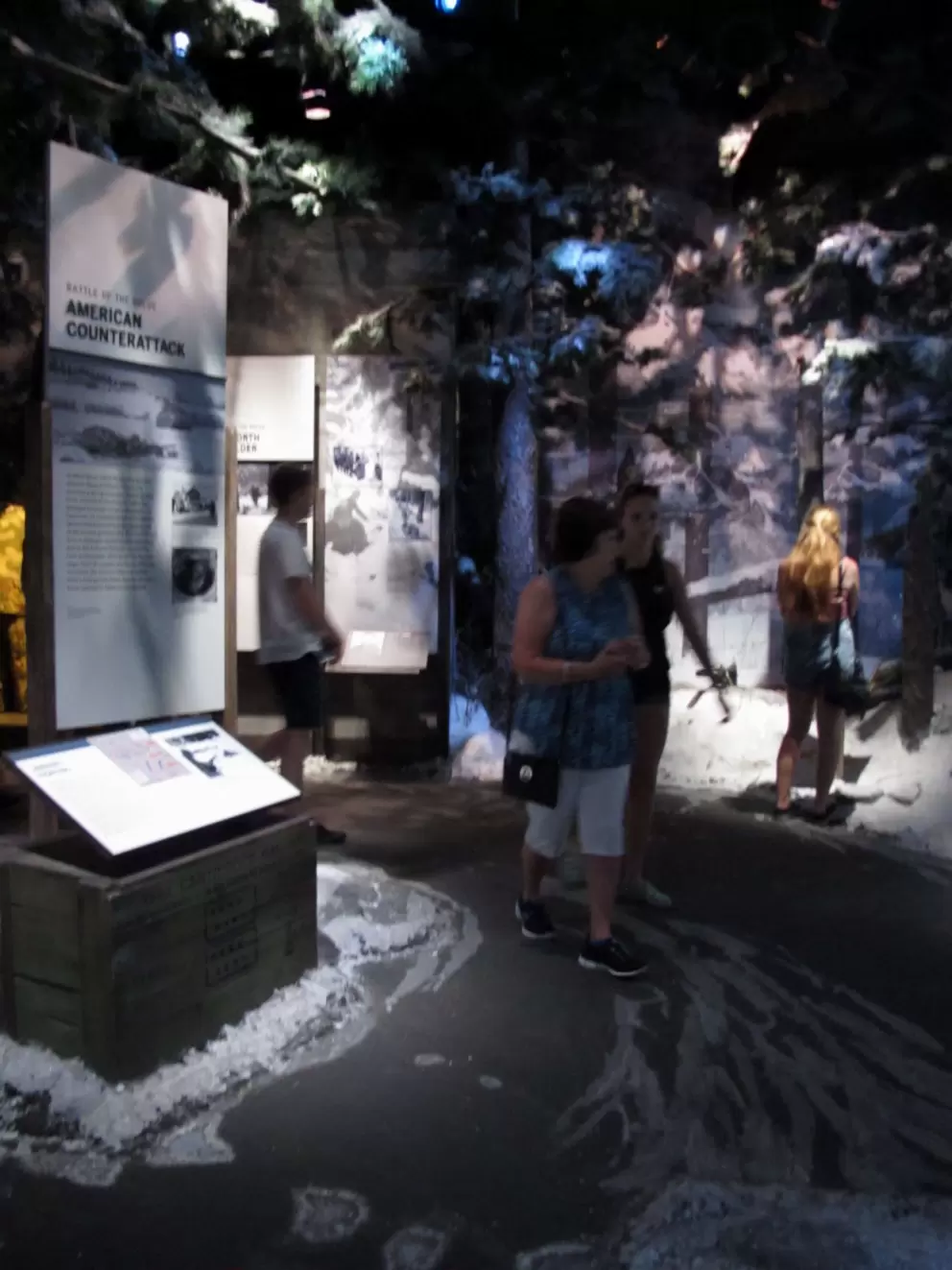 Snowy nature scene in exhibit about the Siege of Bastogne, with cold air piped in!