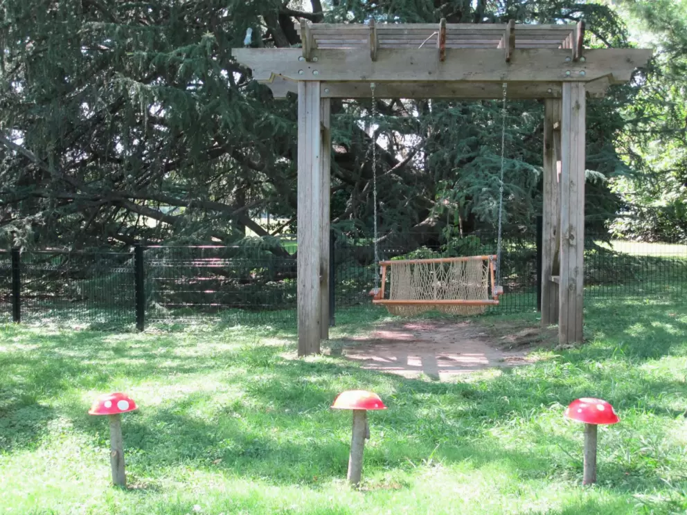 Swing for kids, with fairy mushrooms in foreground.