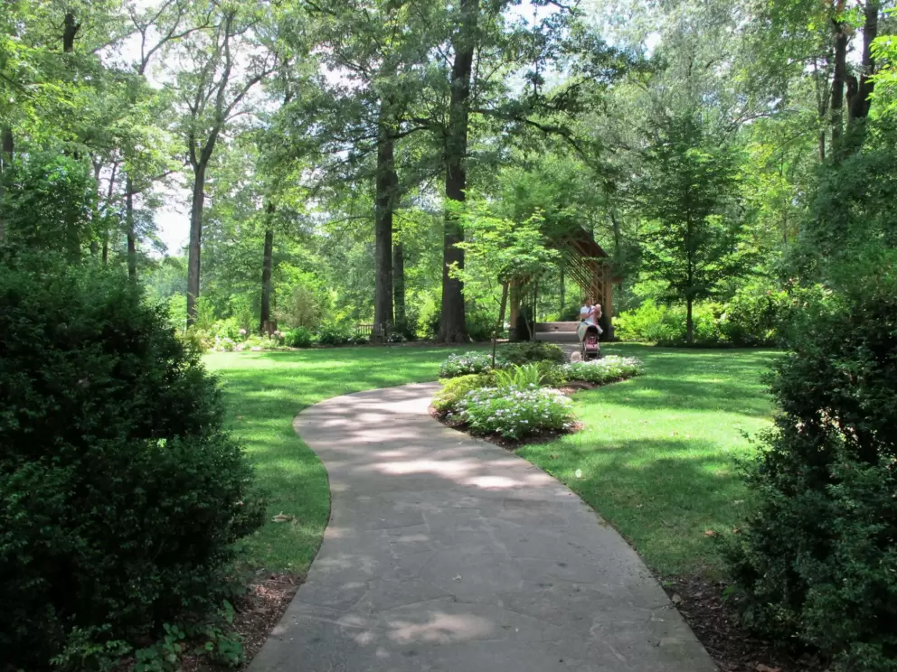 Shady pathway.