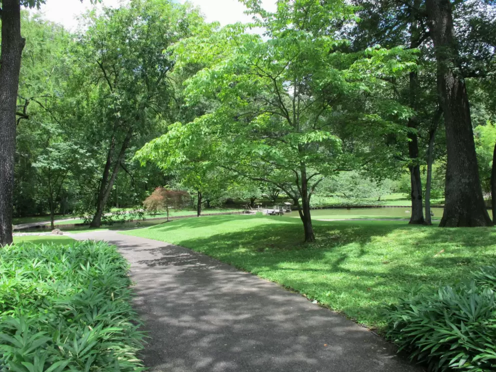 Dappled shade on the path.