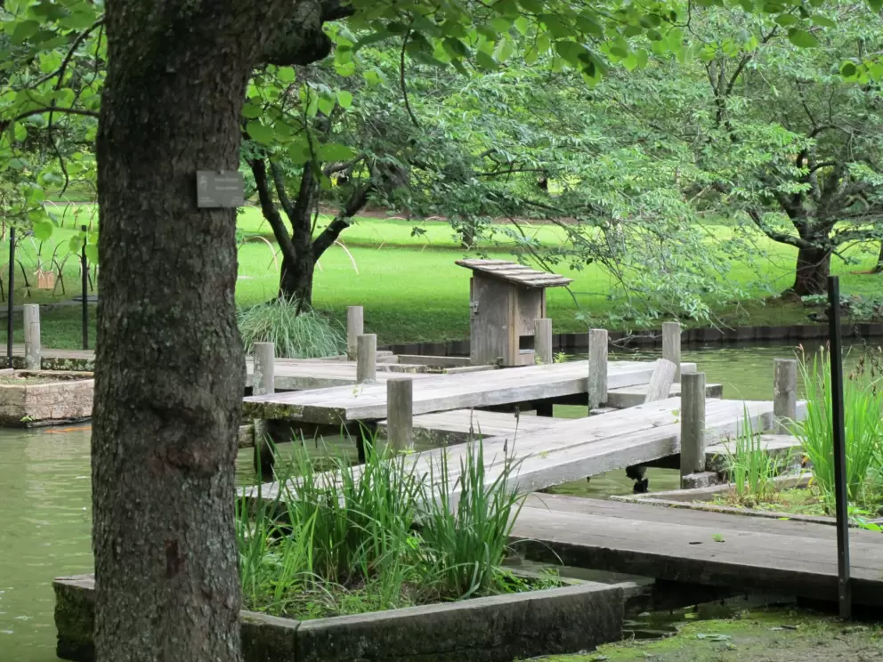 The Asian garden.