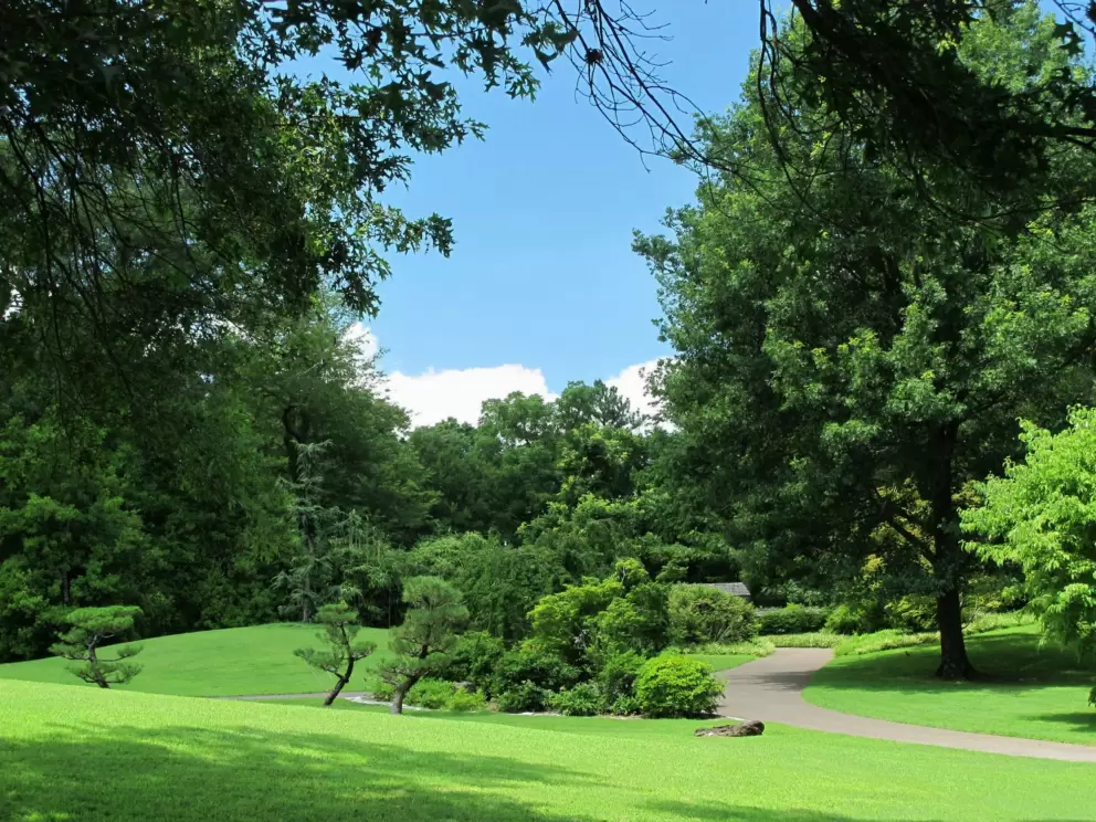 Winding path up a hill.