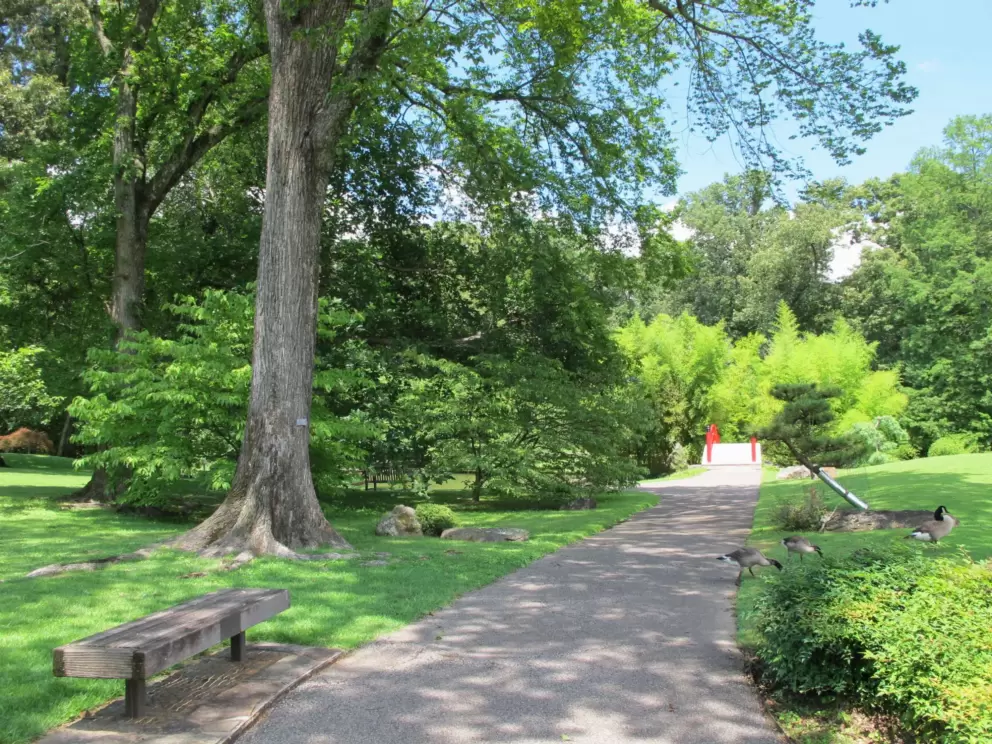 Bench amid many shades of green.