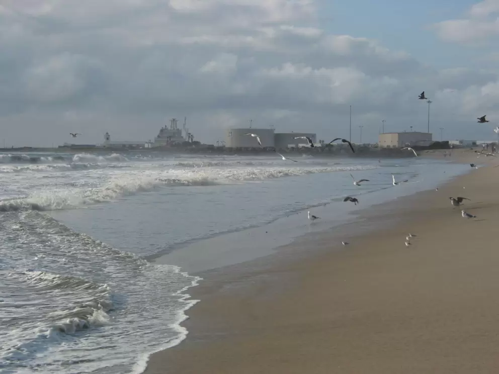 Port Hueneme Naval Station in the distance- lots of seagulls overhead.