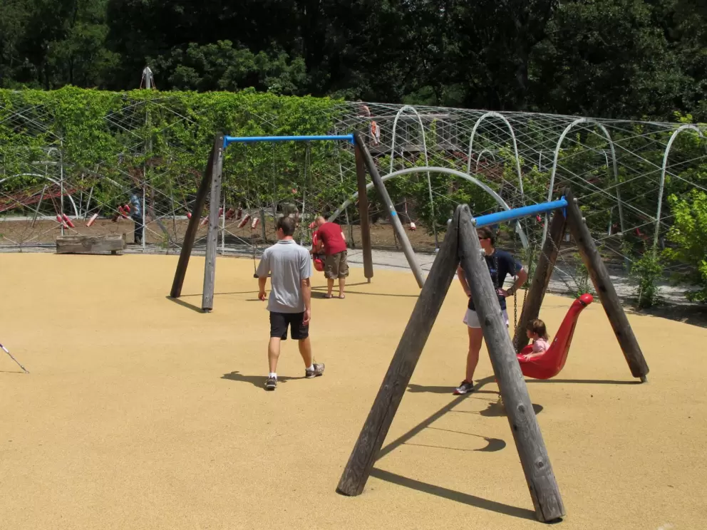 Area with all different kinds of swings.