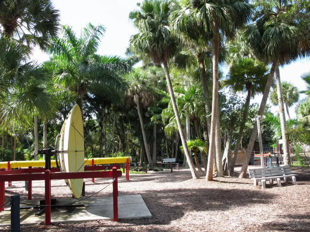 Whisper disc, outside among the palms.