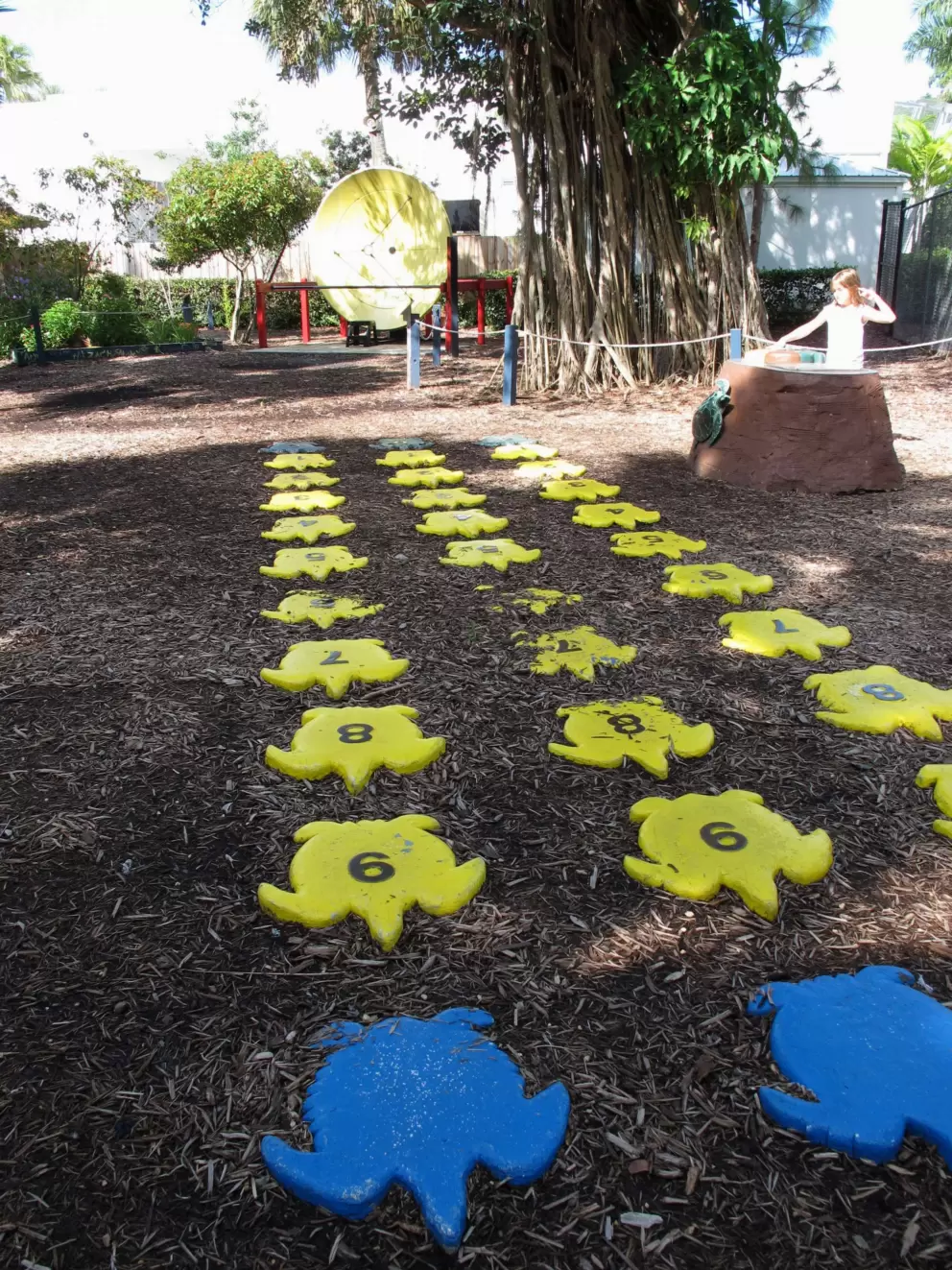 Turtles to leap across!
