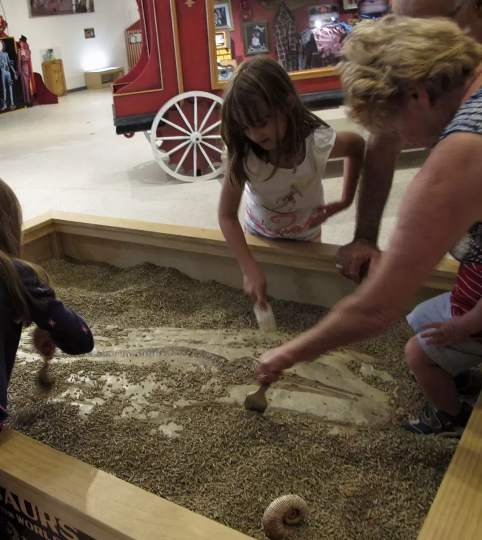 Dig for a dinosaur skeleton.