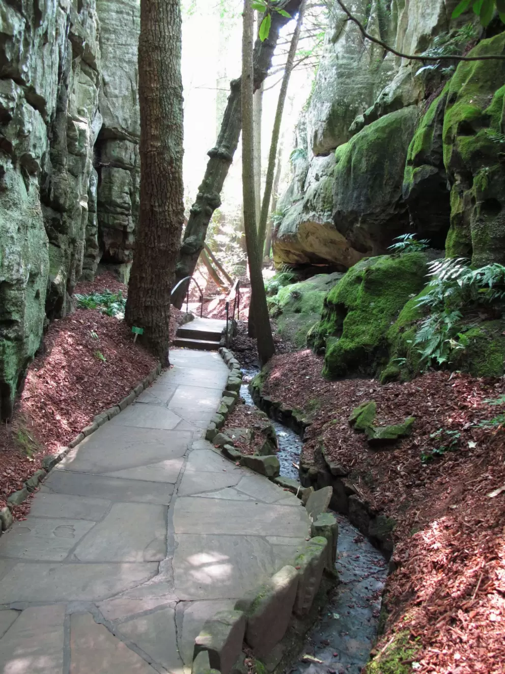 Moss-covered rocks, stream, and pathway.