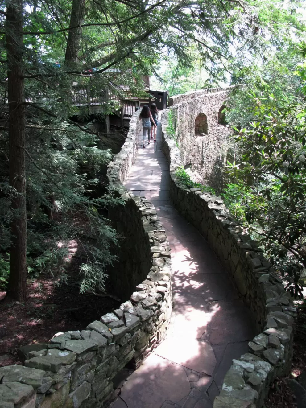 Pretty pathway leading to a bridge.