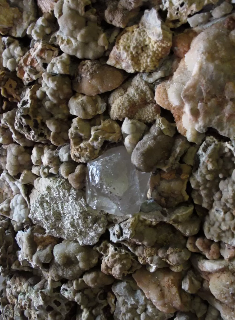 "Gems" in the rock wall inside Fairyland Caverns.