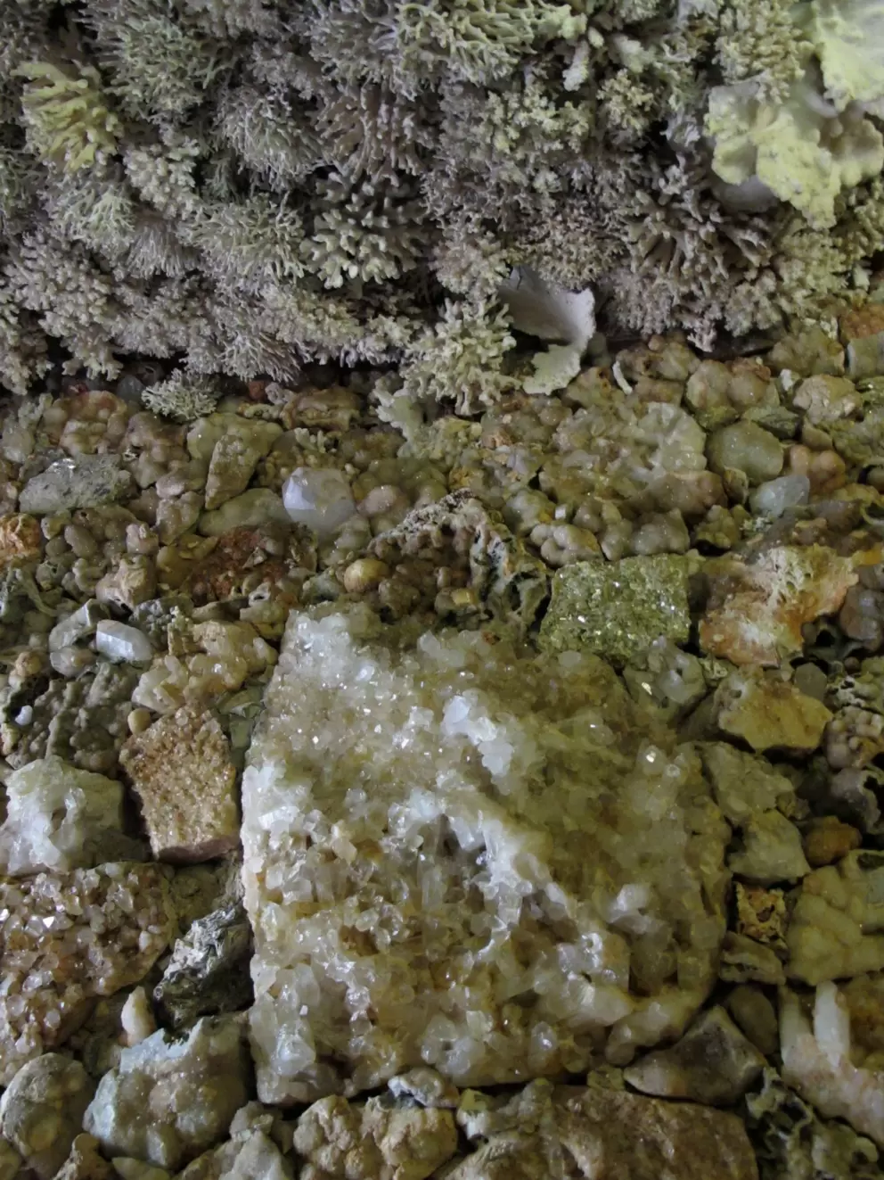 The interesting rock and coral wall inside Fairyland Caverns.