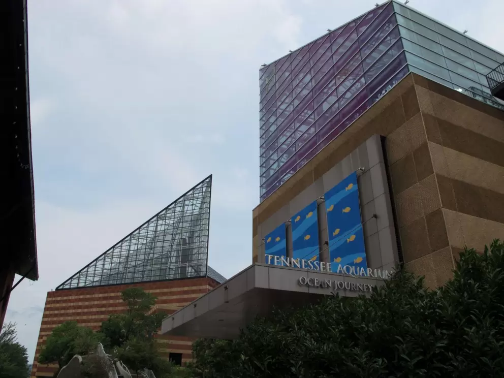 The Tennessee Aquarium!