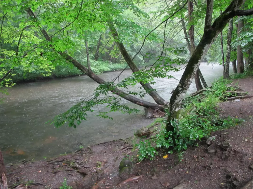 I love the river!