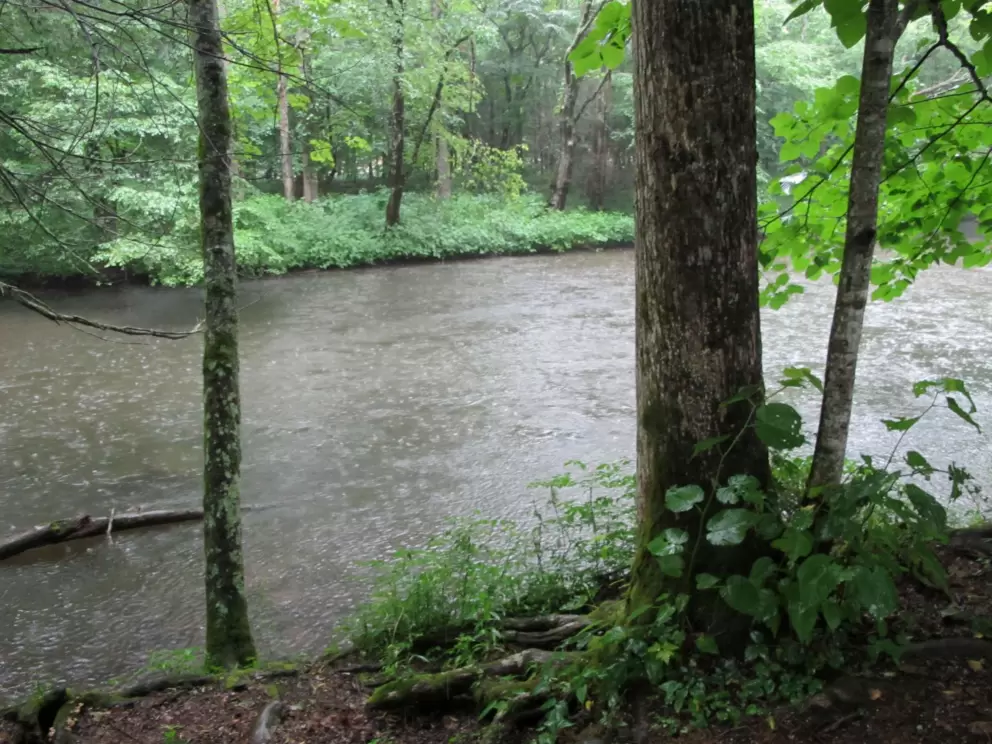 The river on a rainy day.