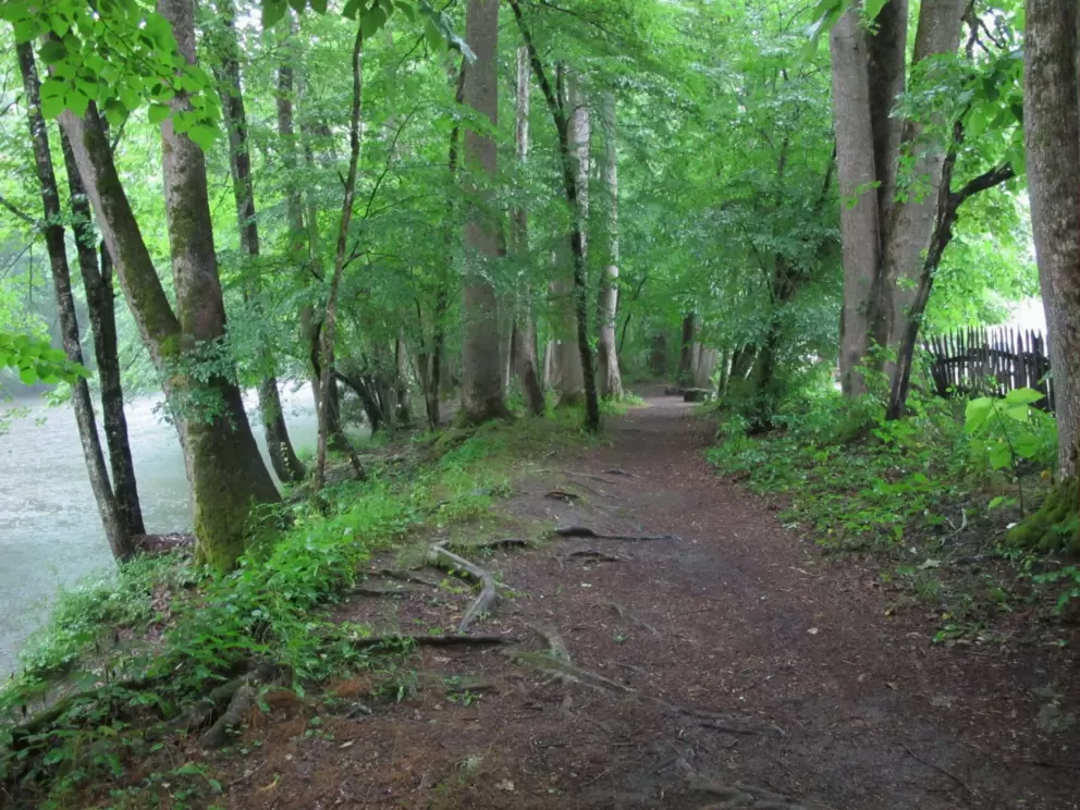 Peaceful trail.