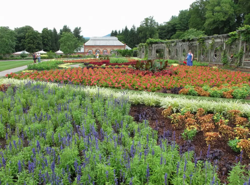 Summer flowers in the Walled Garden.