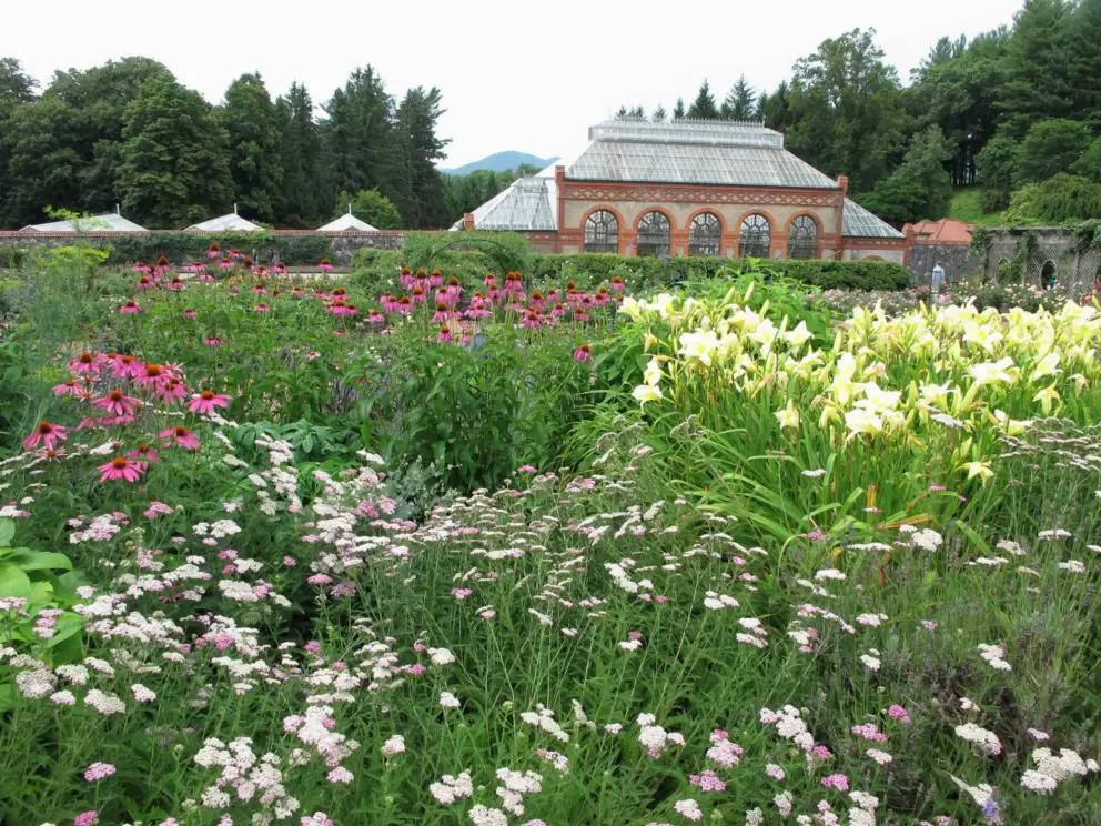 An abundance of flowers, and the conservatory in the background.
