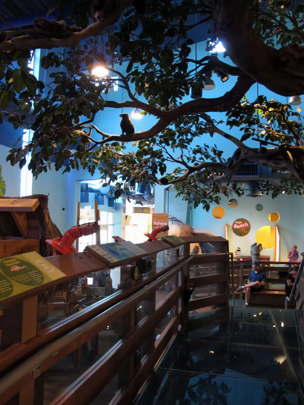 The everglades area with treehouse and clear blue floor.