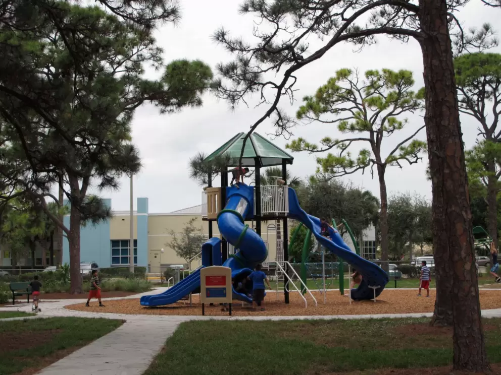 The pine trees and amazing tall slides.