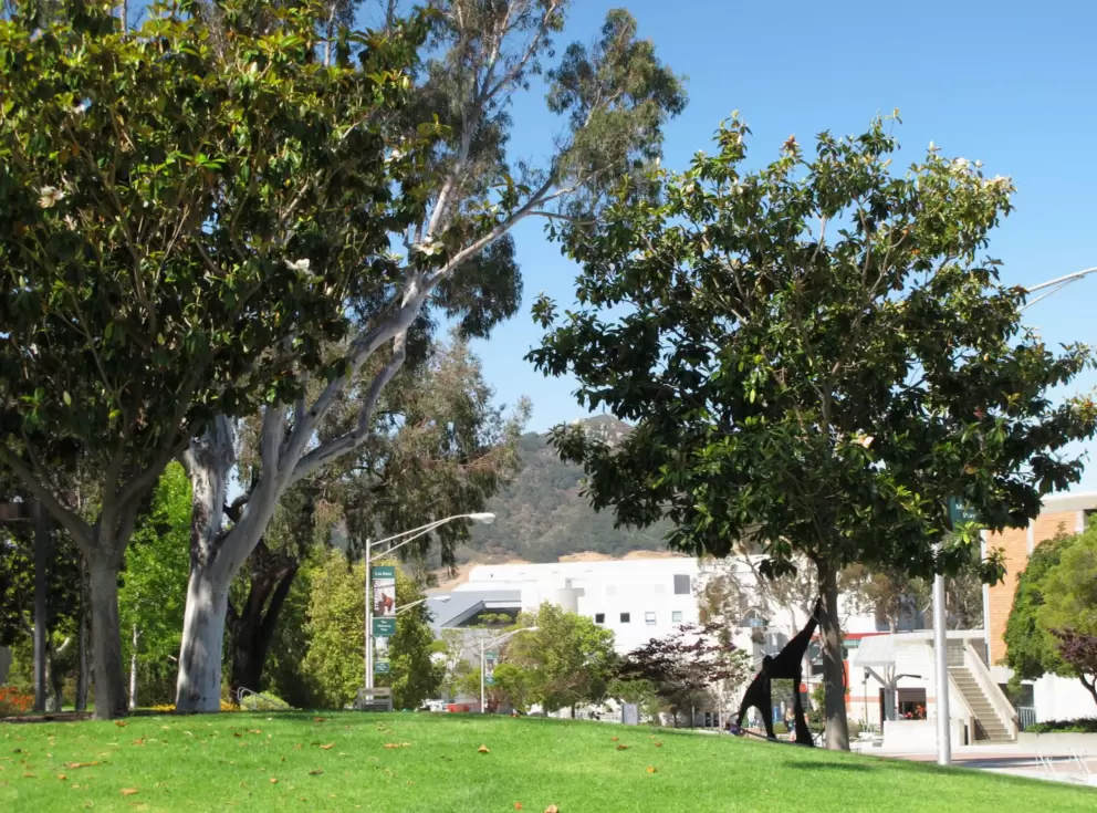 Lawn, sculpture, and trees.