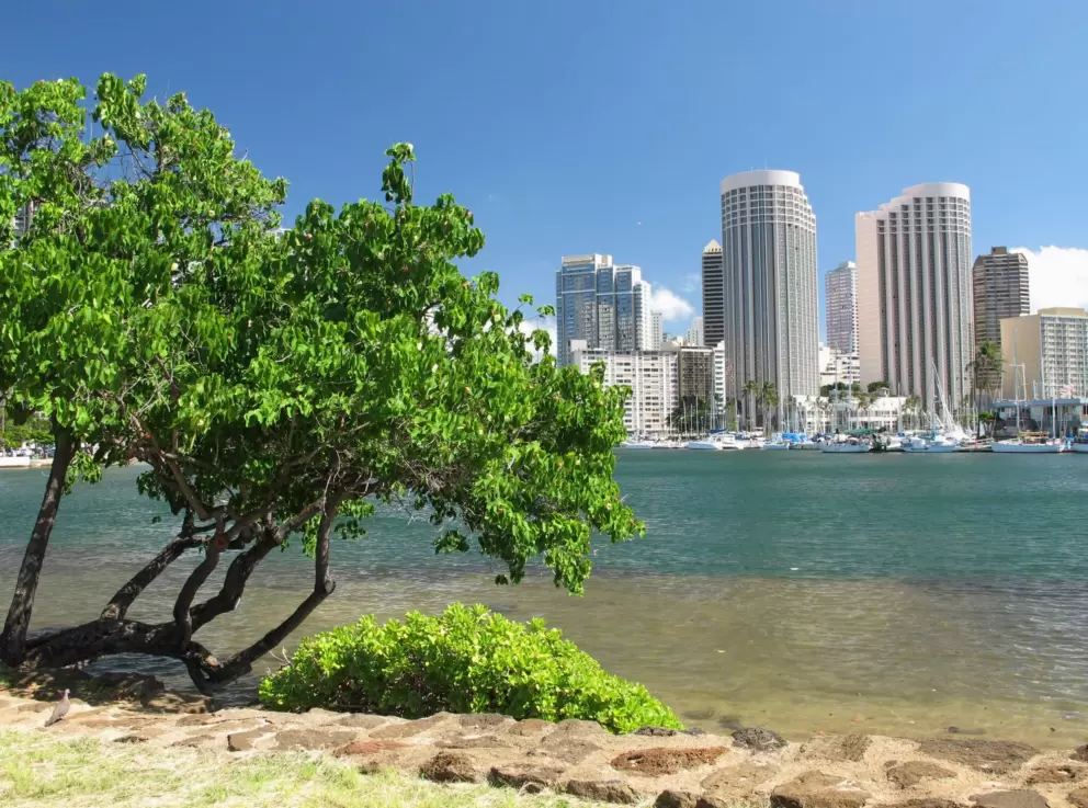View of the city skyline across the water.