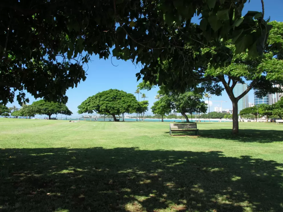 Wonderful shade!