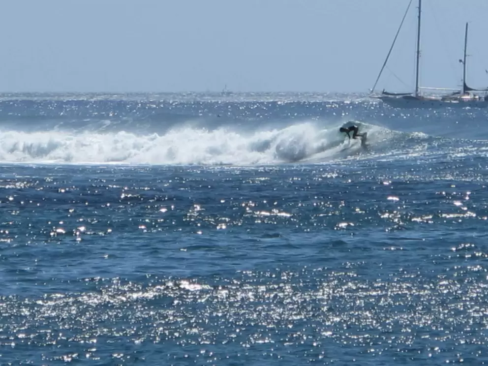 Catching a ride in the glistening surf.