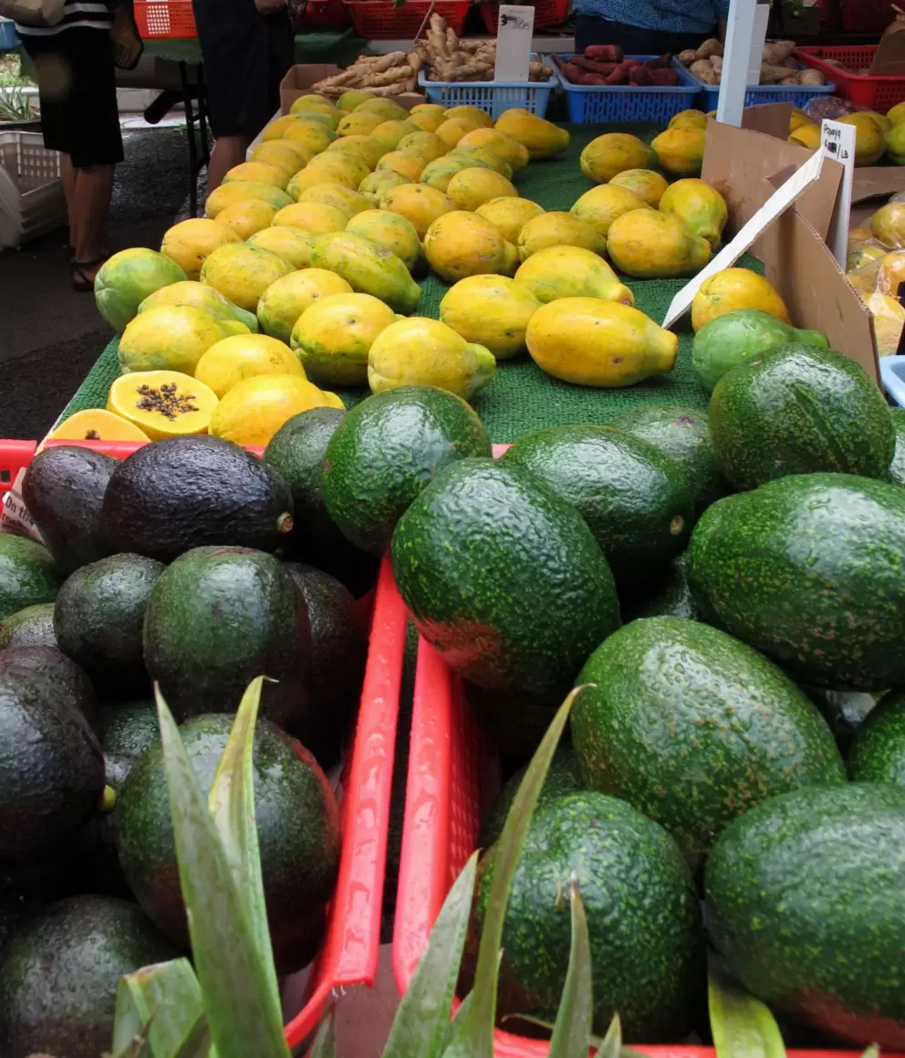 Avocados and lemons.