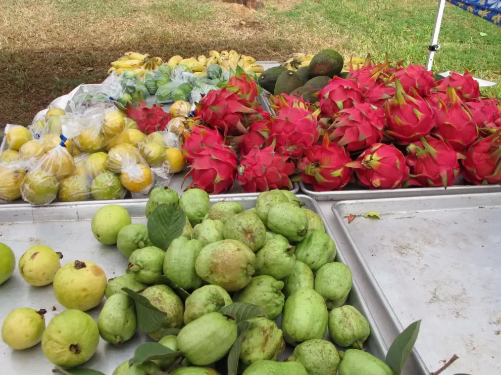 Dragonfruit and guavas.