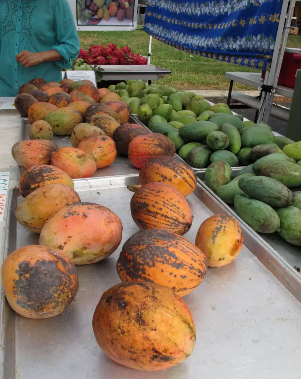 Squash and papaya.