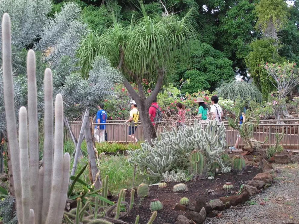 Visitors check out the cactus garden.