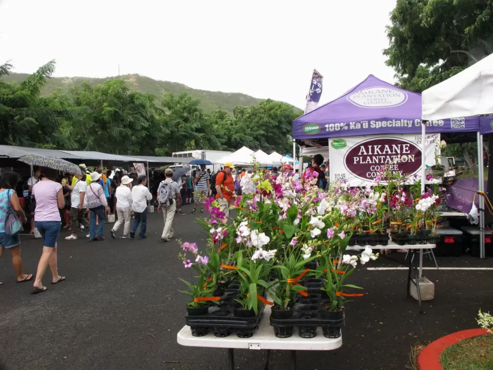 Orchid stand.