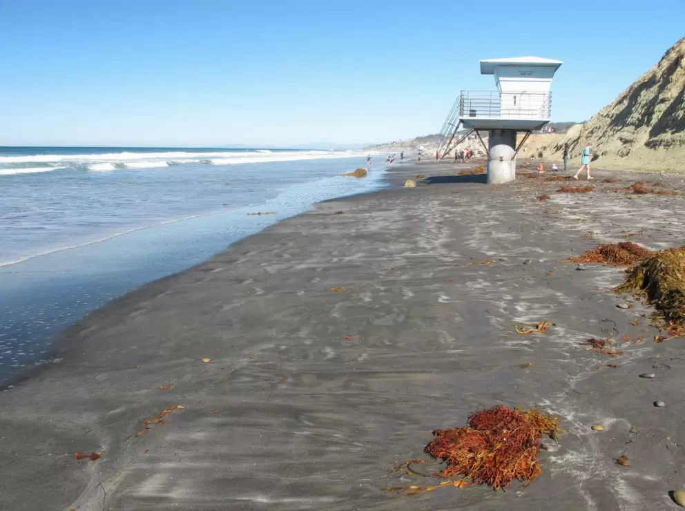 The lifeguard shack.