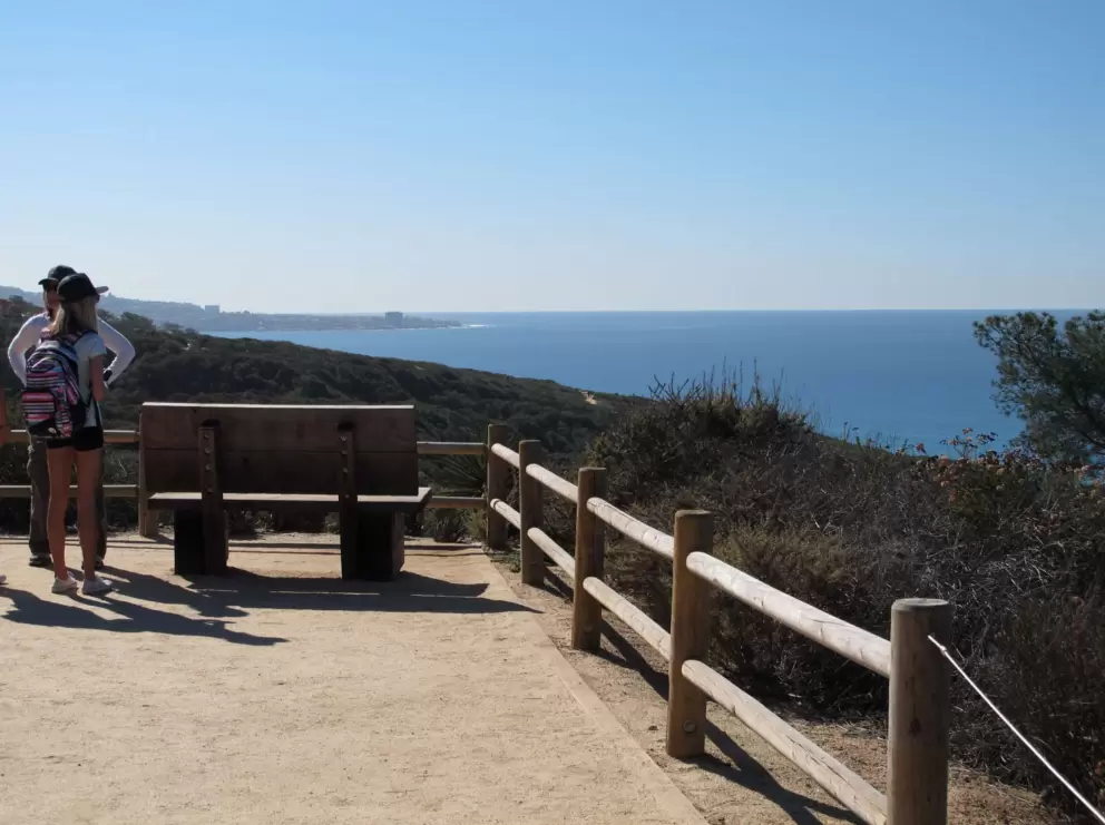 View along the way on the West Overlook Trail.