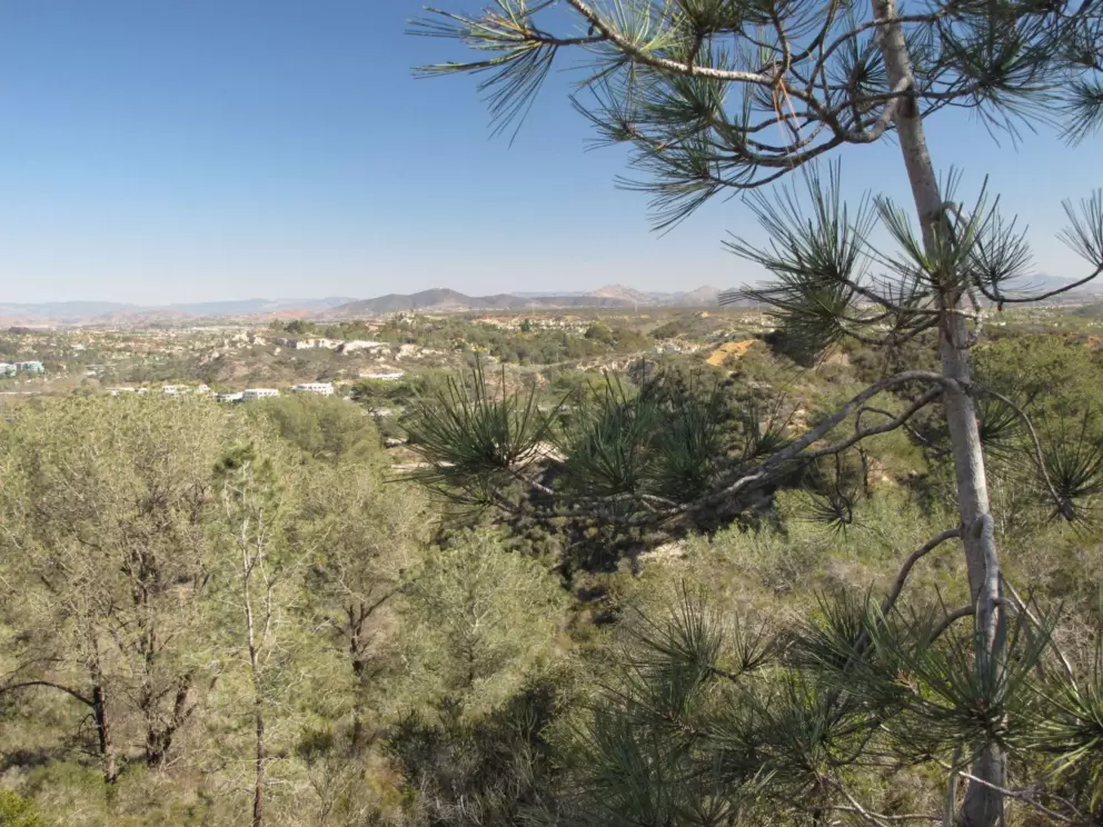 View from the South Broken Hill Trail.