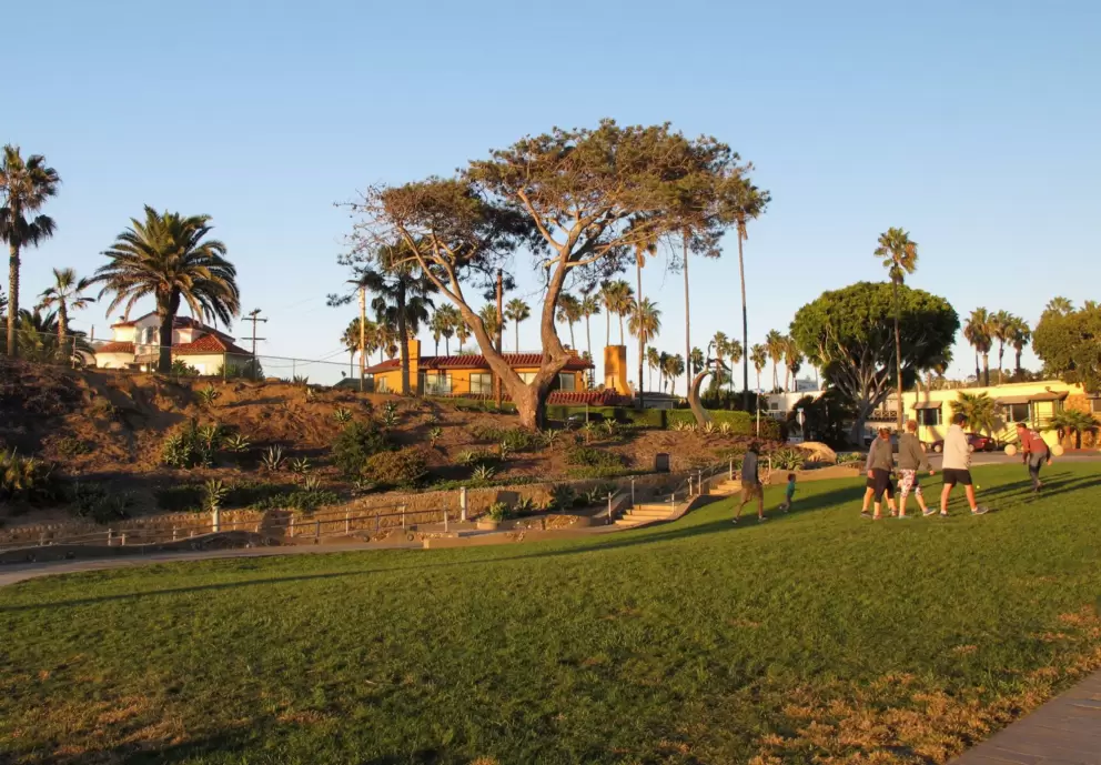 Playing with a tennis ball on the grass.