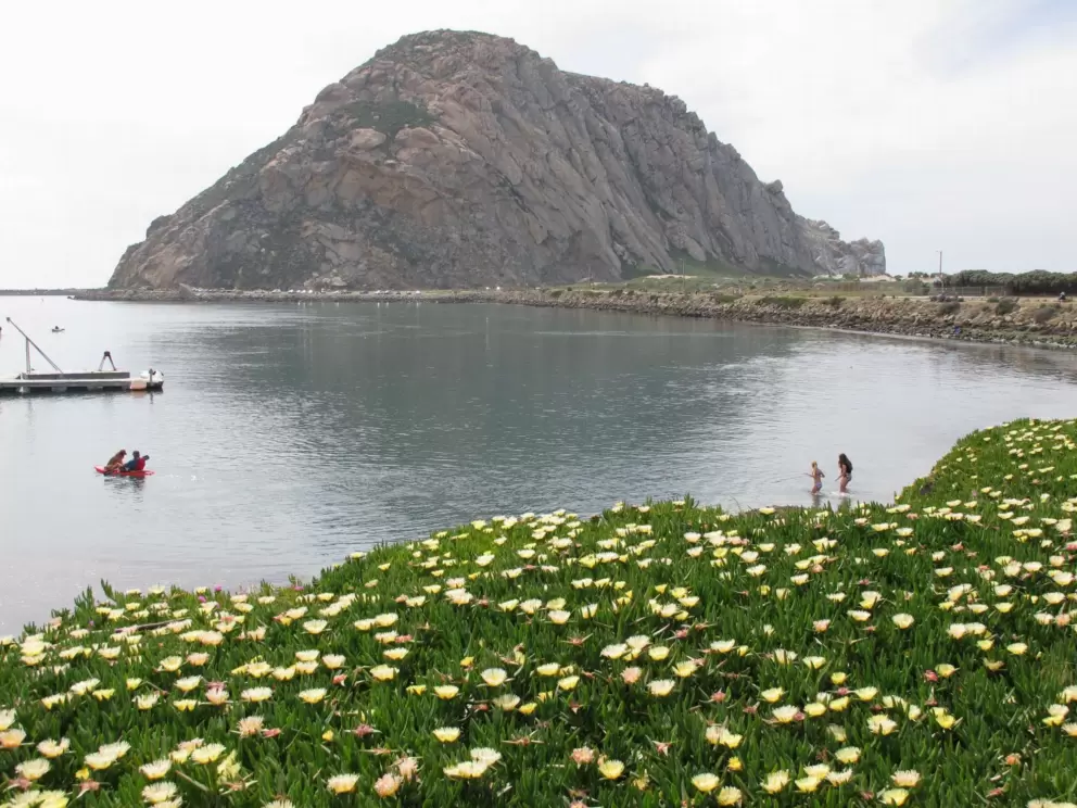 Flowers, glassy water, and Morro Rock, and children playing at the beach below.