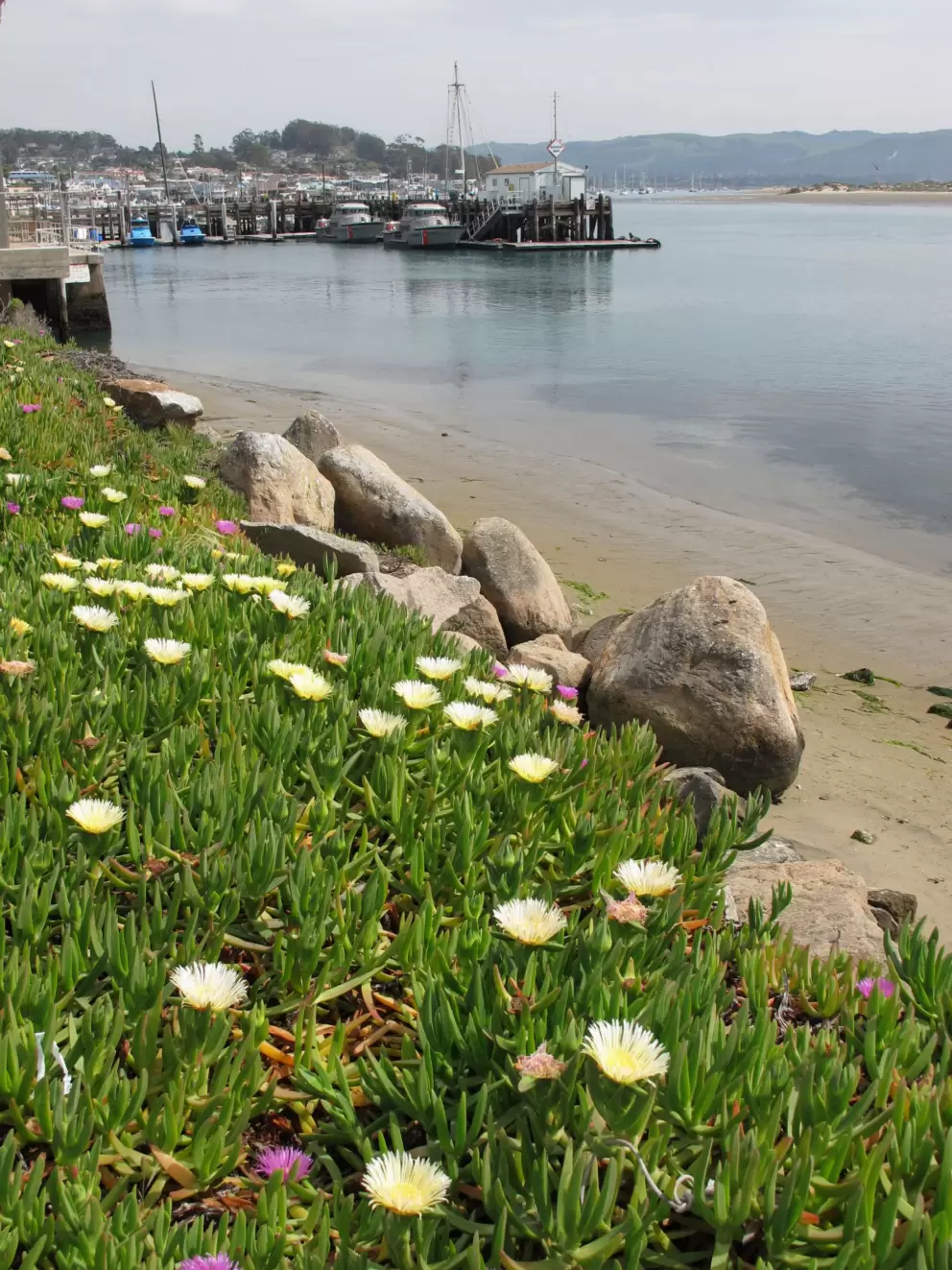 Looking back toward the harbor.