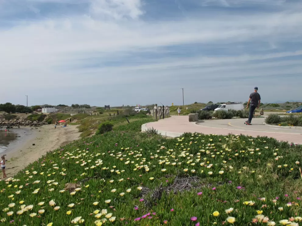 A skateboarder enjoys the bike path.