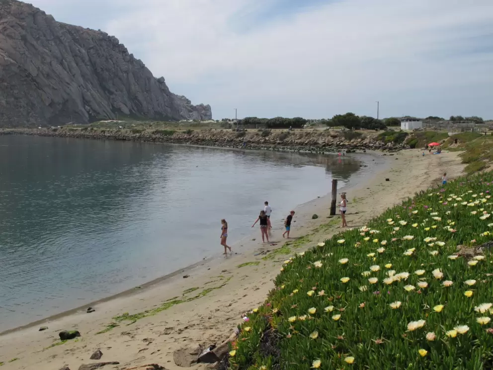 Playing at the beach!