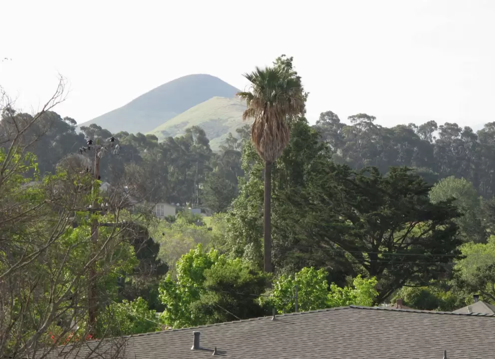 Views of hills, from Bishop St.