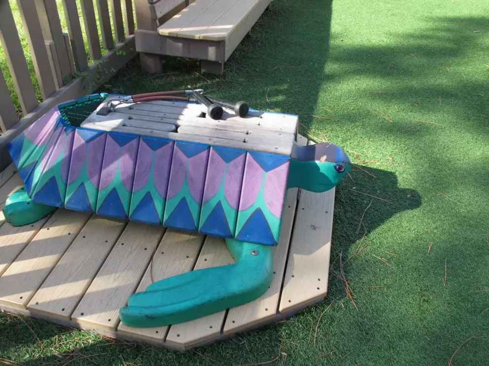Turtle xylophone.